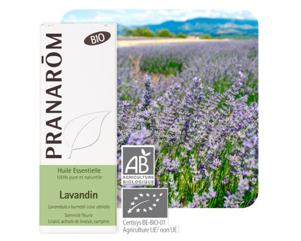 lavandin_pranarom