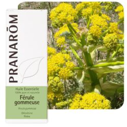 galbanum_efirnoye_maslo_pranarom